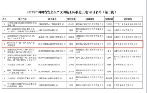 铸就安全标杆，助力富民产业——兴新工投仁寿“一县一业”项目荣膺四川省安全生产文明施工标准化工地